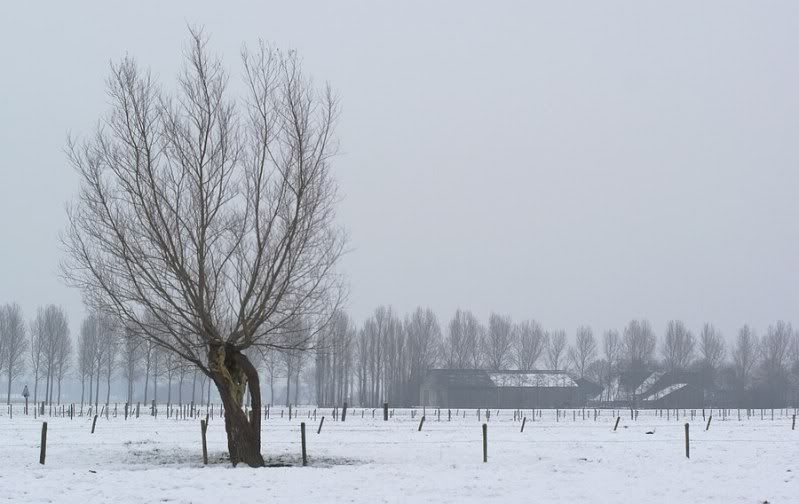 Fotografie