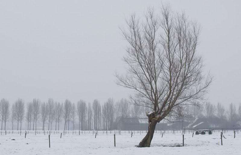 Fotografie