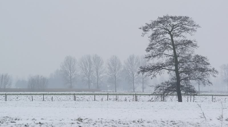 Fotografie