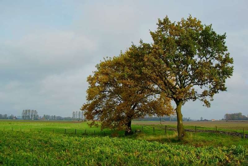 Fotografie