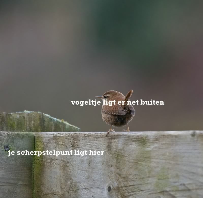 Fotografie