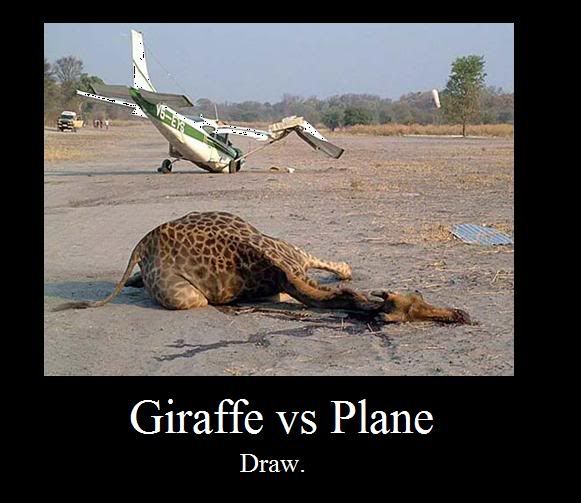 Giraffe Vs Plane Photo by a_through_3 Photobucket