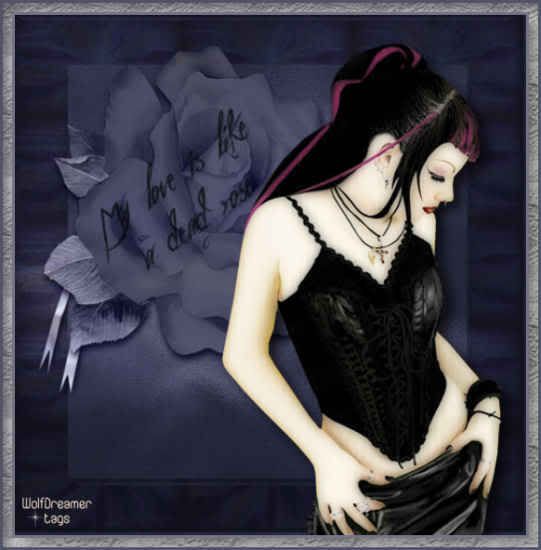 Goth dead rose Pictures, Images and Photos