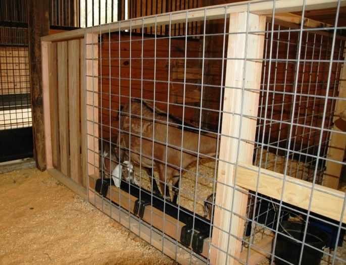 New goat stalls!!! Homesteading Forum