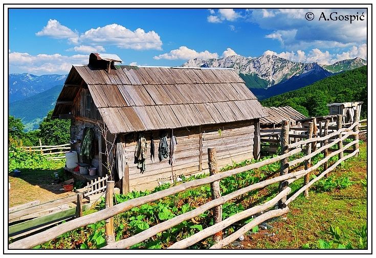 slika