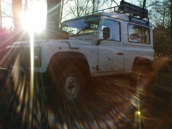 Landy234242354.jpg