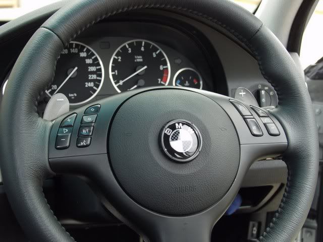 PaddleShifters.jpg