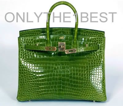 Hermes Crocodile Birkin Bag 35cm Pelouse color