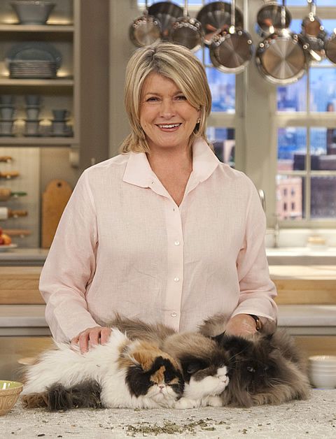 Martha Stewart and her Dominic Calico Persian Cat s Empress Tang and Princess Peony