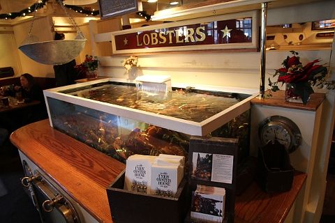 Lobster tank at Union Oyster House Boston