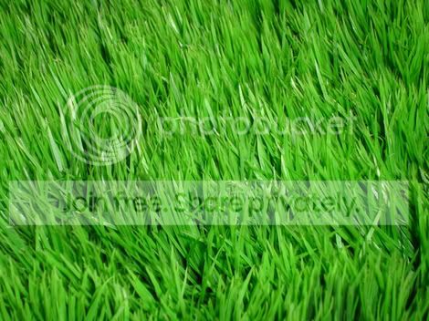 grass_by_conformity1.jpg