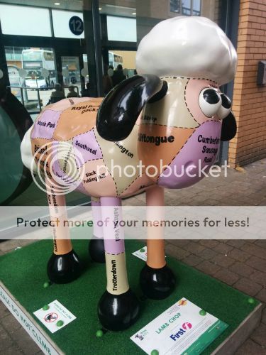  photo Shaun 15 Tobys Group 44_zps61kma6ce.jpg