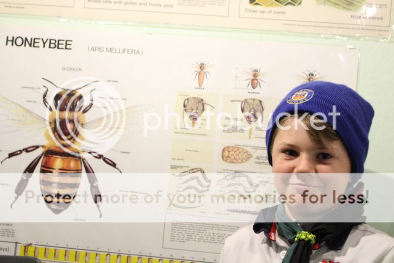  photo IMG_6252_zpsakagk3uz.jpg
