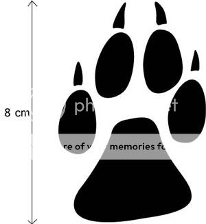 Wolf Pfoten Window / Wall / Car AUFKLEBER Paw Sticker