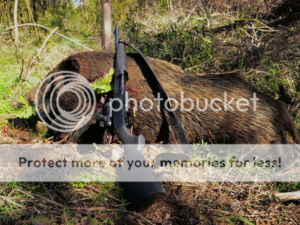 Mon Remington 7600 Downloadfile-32_zpslbgjc398