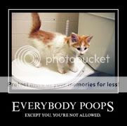 everybody poops photo: everybody poops Everybodypoops.jpg