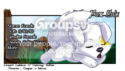User Image