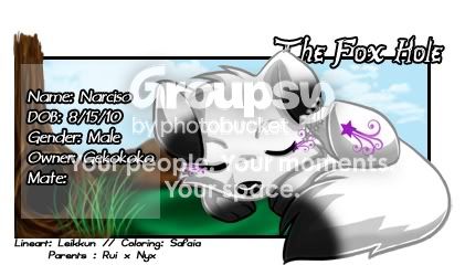User Image