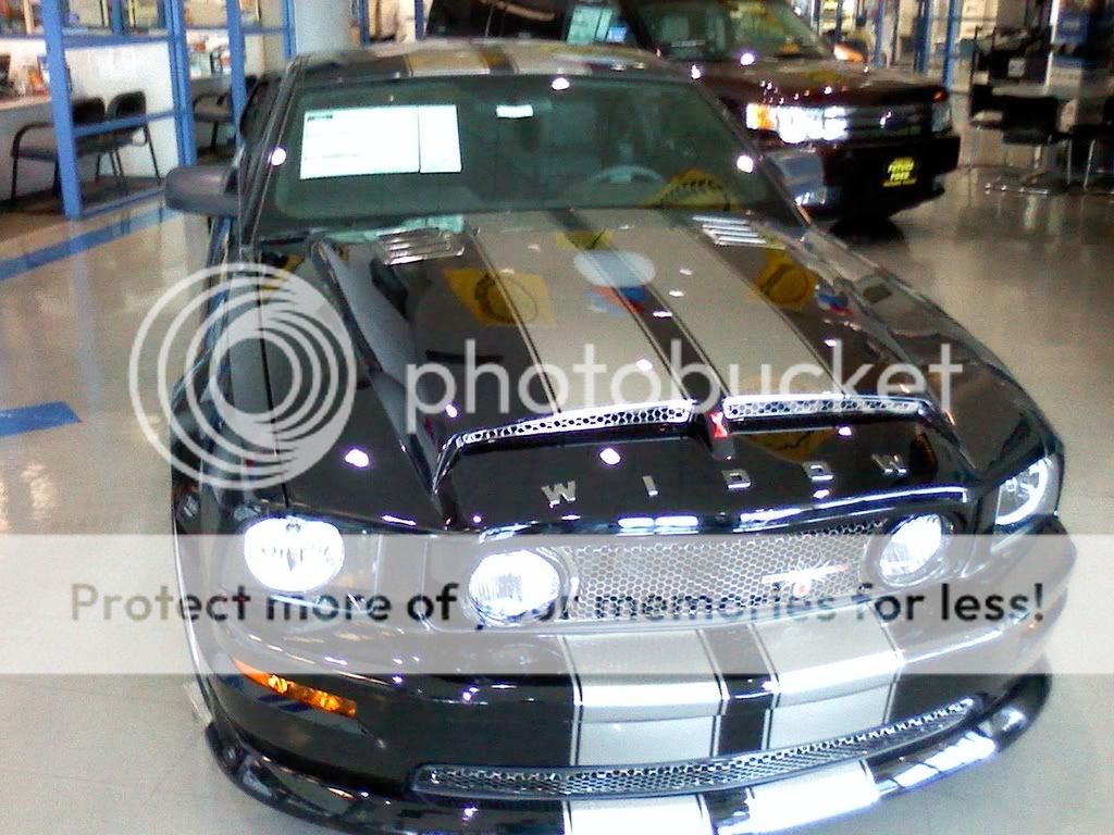 2009 Ford mustang black widow specs #3