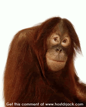 Chimp
