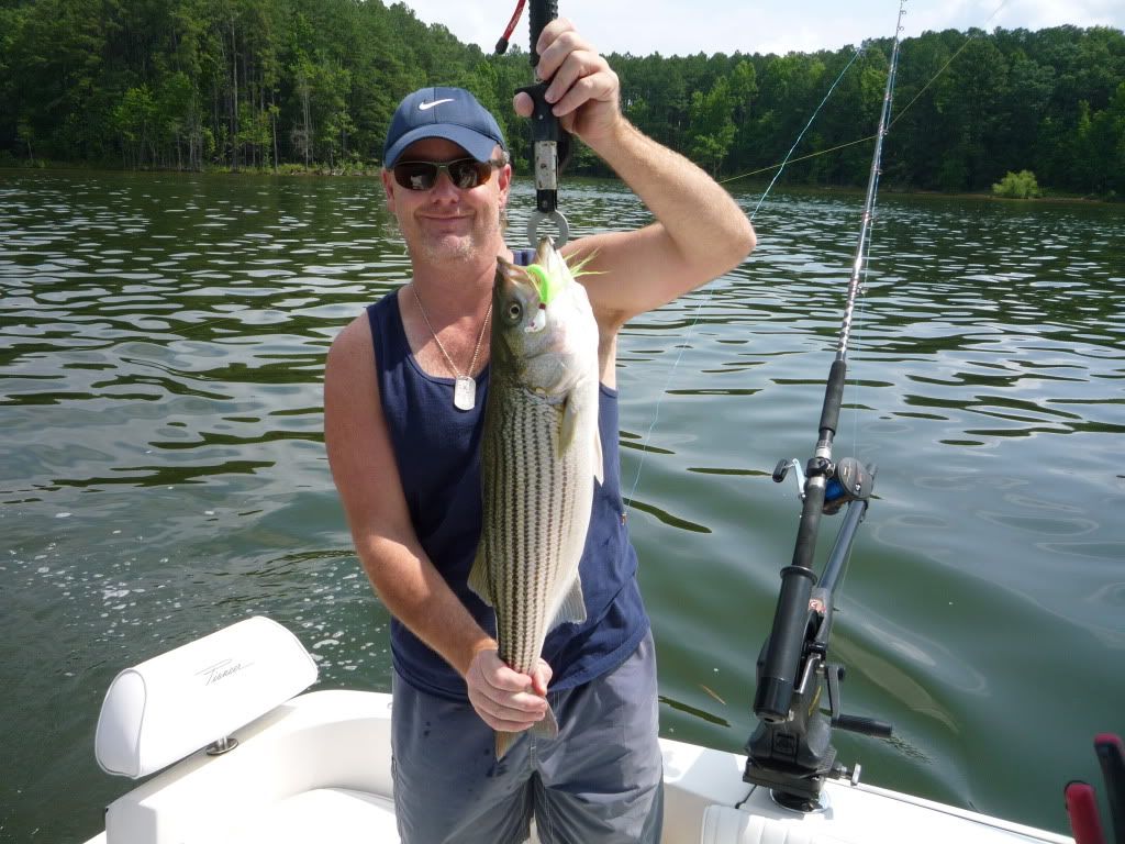 Striper Fishing On Jordan Lake